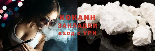 индика Осинники
